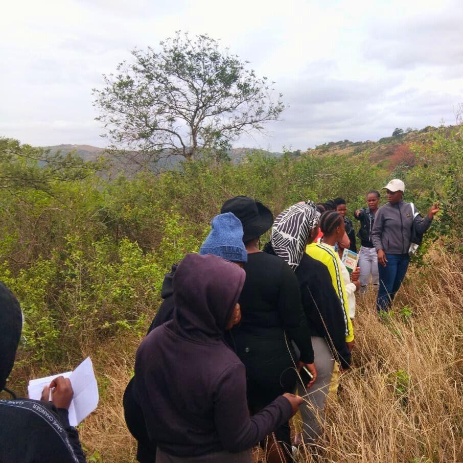 Empowering Communities Through Education and Immersive Experiences in Nature