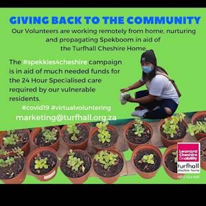 DirectAxis Virtual Volunteering #spekkies4cheshire