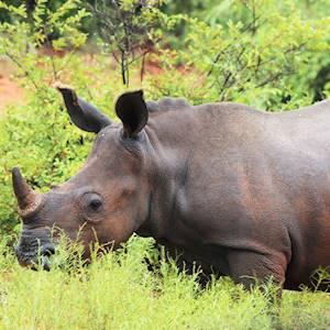 0caa72c0-8381-28db-2746-62d0af7915b1