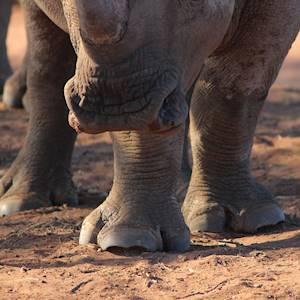 6640af7b-fbd5-df06-4d2b-7ddb0aeb2c7b